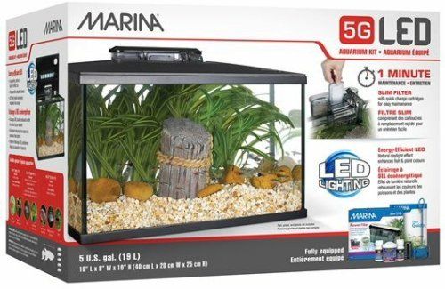 Marina LED Glass Aquarium Kit 5 Gallon