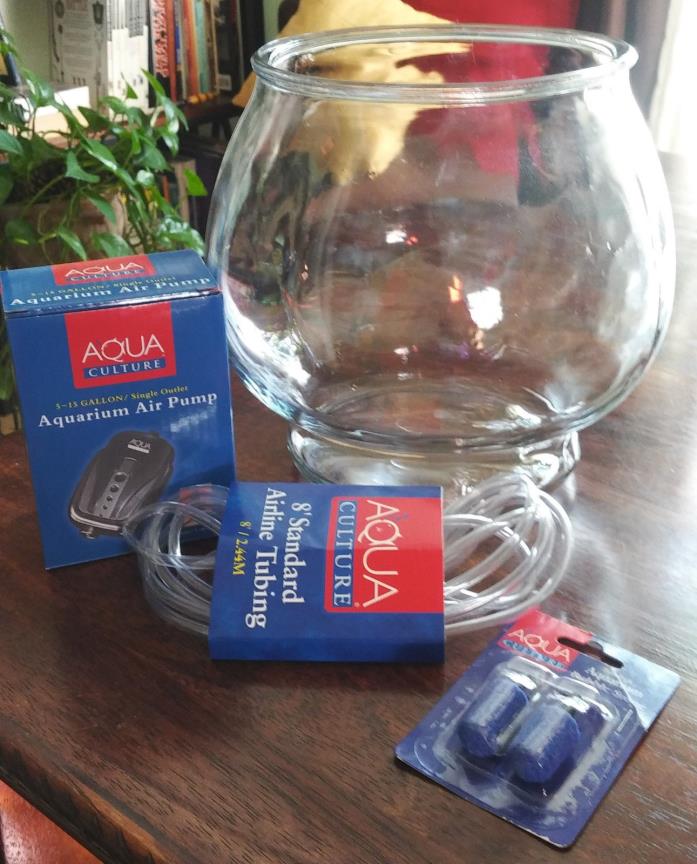 Small Aquarium starter set with 8 inch Glass fish bowl