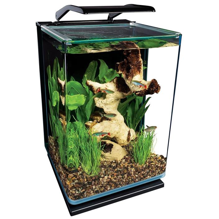 5 Gallon Fish Tank Light Up Glass Aquarium Small Portrait Bedroom Decor Filter