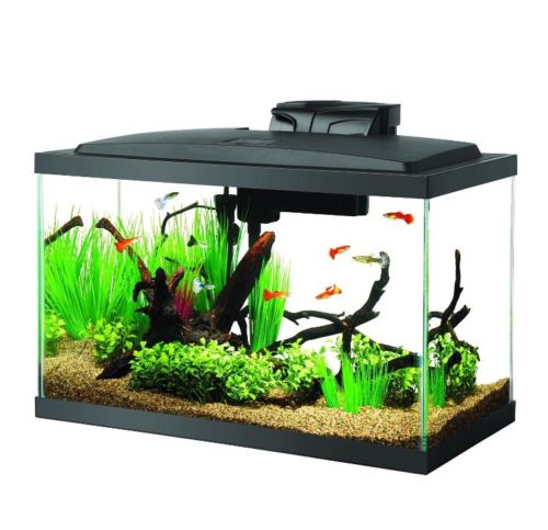 Aqueon Aquarium Fish Tank Starter Kits with LED Lighting 10 gal... Free Shipping