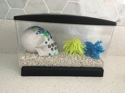 small betta tank (decorations included)