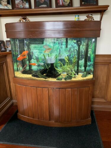 80 Gallon Bow Front Fish Tank w/EVERYTHING, Stand, Wet/dry Sump, More Extras