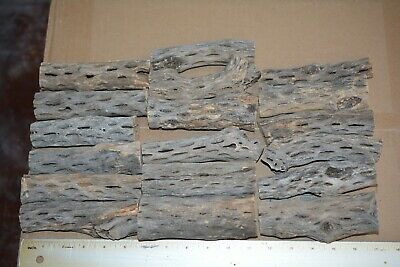 (18) THICK CHOLLA WOOD,ORGANIC,Cactus Wood,Aquarium,Reptile,Bird,Crafts,FC1