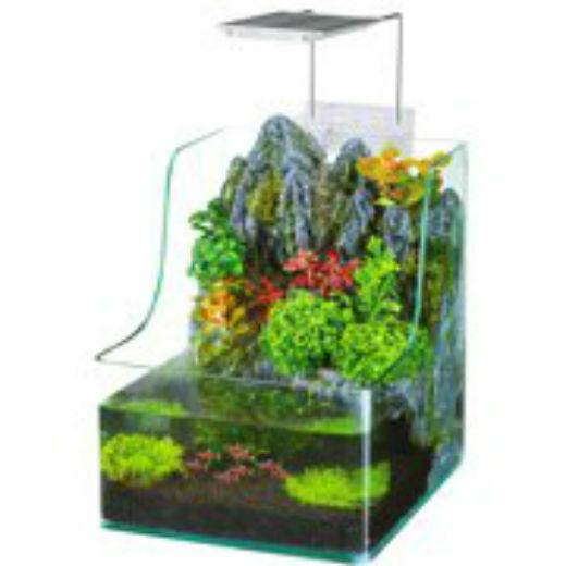 Penn Plax AquaTerrium Planting Fish Tank - Grow Plants and Fish in One Environme