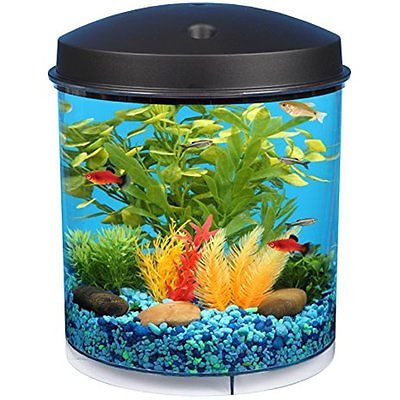 Starter Kits Gallon 360 View Aquarium With Internal Filter And LED Lighting