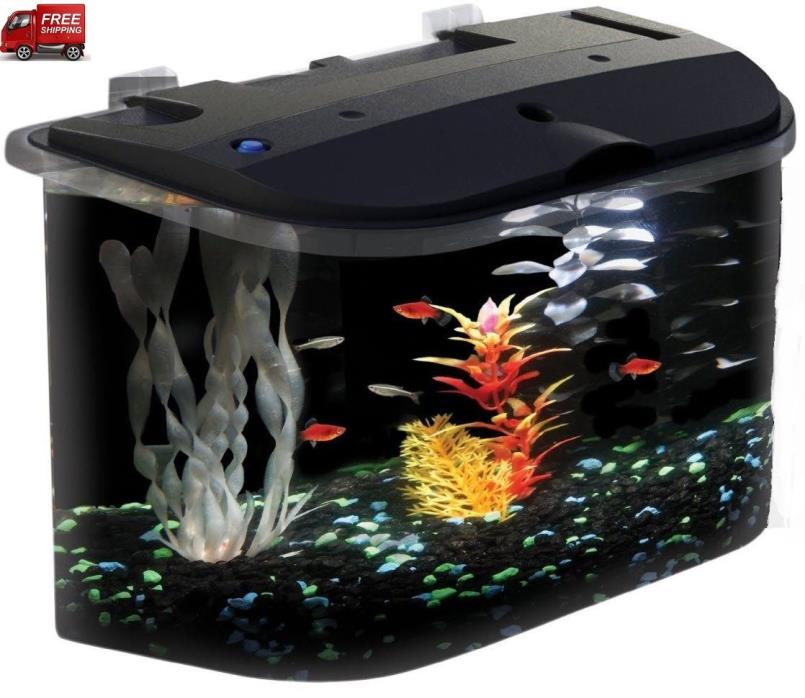 5 Gallon Fish Tanks Aquariums Freshwater Decorations Tropical Home 3d Background