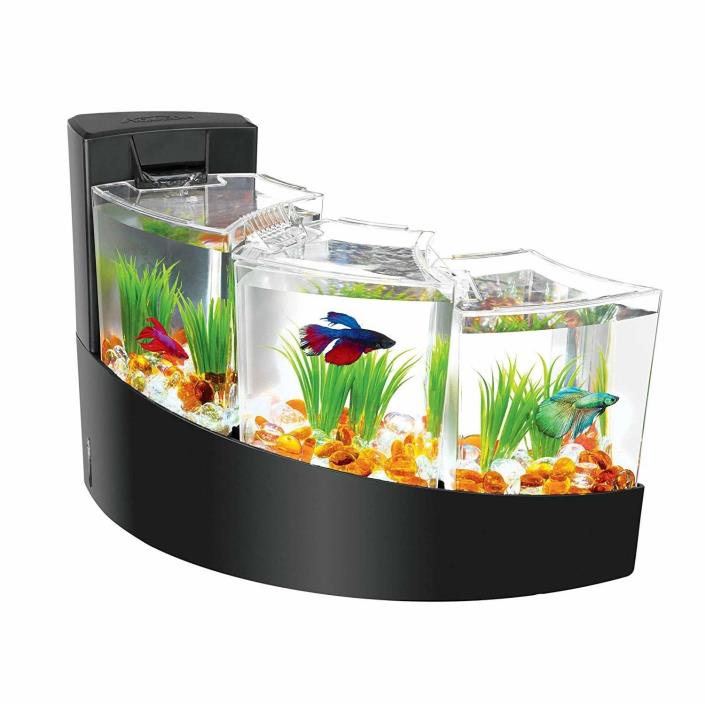 Beta Desktop Aquarium Tank Fish Kit Falls Home Office Childs Room Natural Beauty