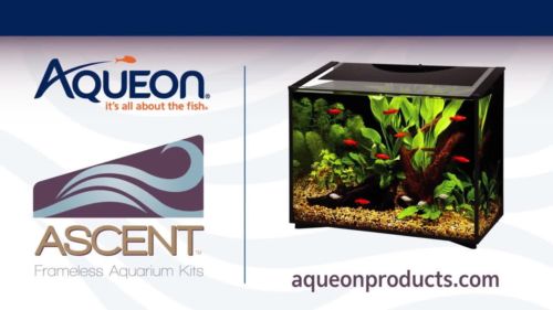 Aqueon Ascent 10 Aquarium