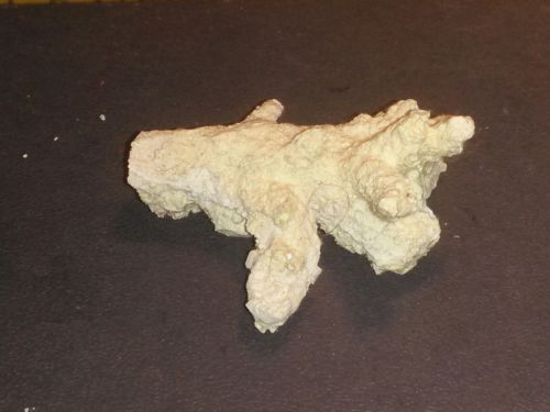 Genuine Hard White Dried Live Coral Saltwater Aquarium Reef Decor 2.5