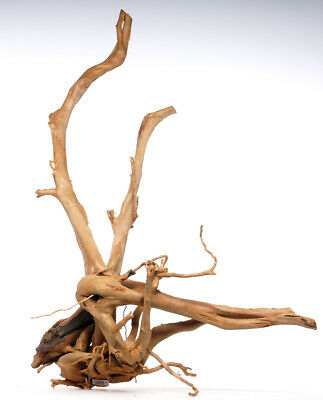 Spider Wood Root Terrarium/Aquarium Driftwood WYSIWYG #757 23