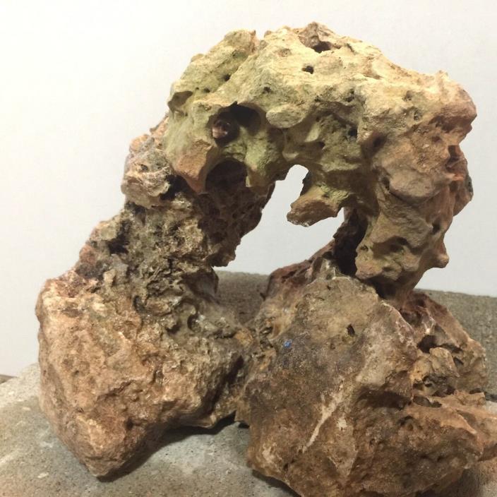 3 Beautiful Texas Holey Rocks (Raw) Approximately 20lbs