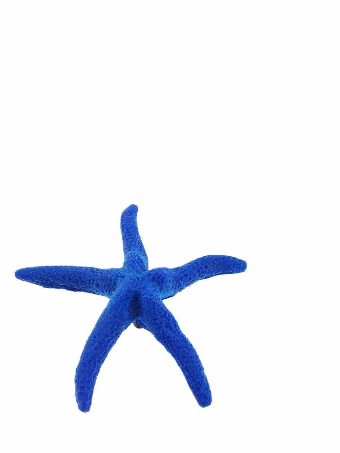 Sea star, starfish, Artificial corals, 5