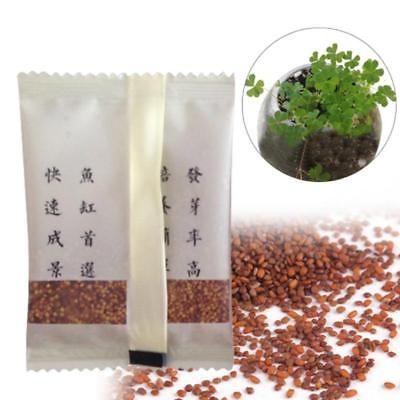 Water Grass Seed Fish Tank Landscape Water Seed Seeds Clover Fish Aquatic Produc
