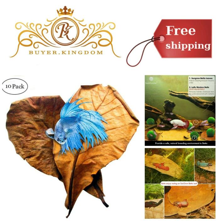 10 Pack Large Catappa Leaves Natural Habitat For Betta Fish Improve Well Being