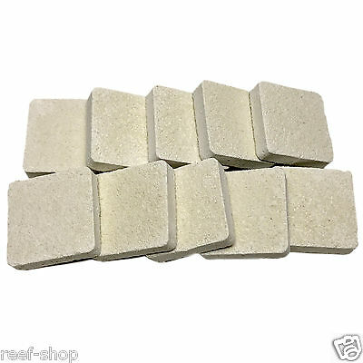 10 Cured Frag Tiles Live Coral Propagation Free USA Shipping
