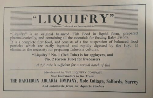 Vintage Old Aquarium Fishbowl Liquifry Baby Fish Food - Enland 50s Print Ad