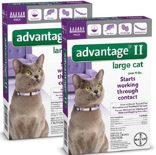 Advantage II Flea Control for Large Cat over 9 lbs - 12 Pack (Free Shipping)