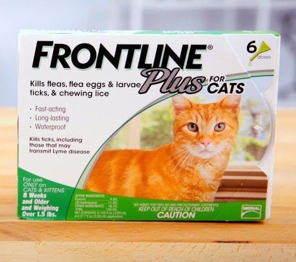 Frontline Plus Flea & Tick Treatment for Cats 8 Weeks and Older 6 Month Supply