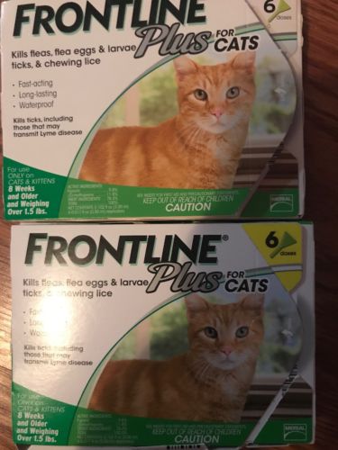 Lot Of 2 Frontline Plus Flea and Tick Control for Cats Kittens 6 Doses 12 Total