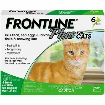 FRONTLINE PLUS FOR CATS & KITTENS 8 WEEKS AND OLDER - 6 PACK - FREE SHIPPING