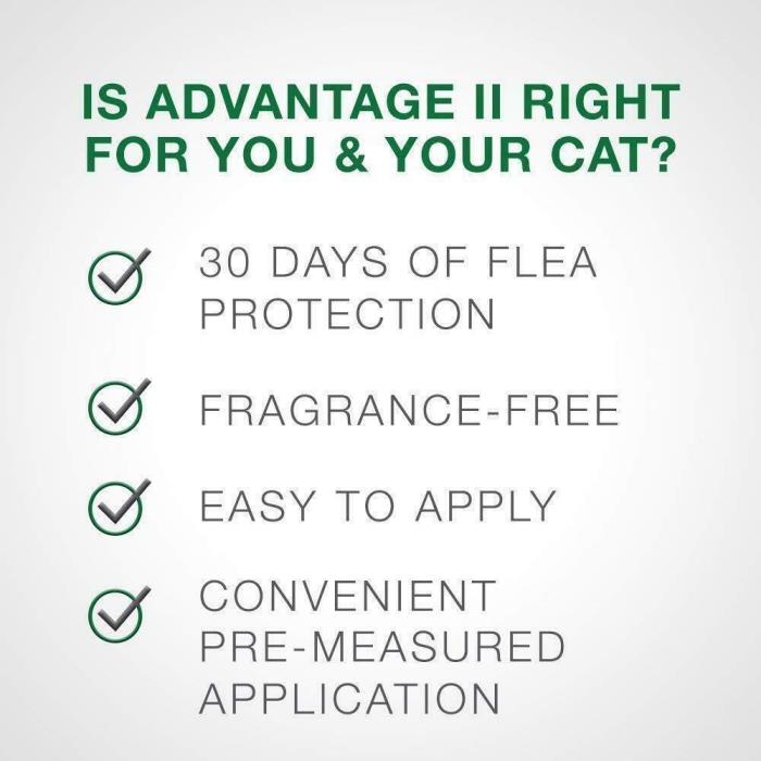 Bayer Advantage II Flea Prevention for Cats
