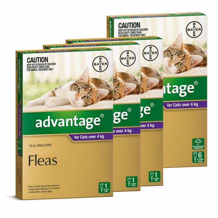 Bayer Advantage II Flea Prevention for Cats over 9lbs - 12pack