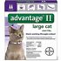 Advantage II Flea Control Large Cat (for Cats over 9 lbs.) - 2 Month