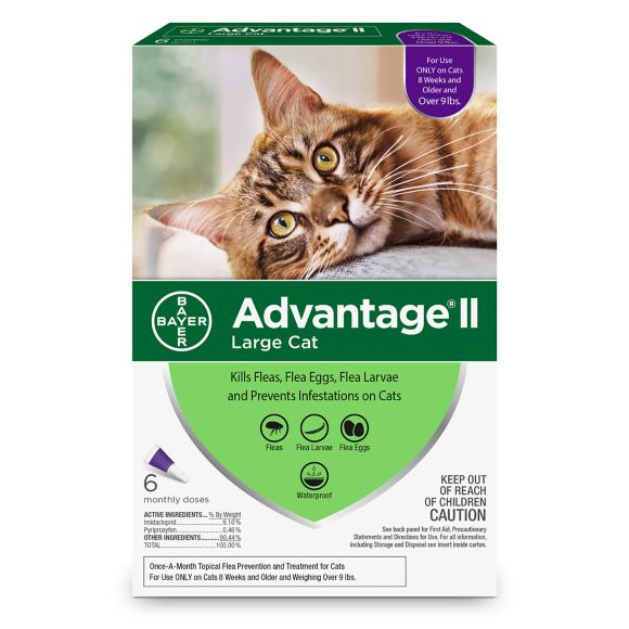 Advantage II Over 9 lbs Cat Flea Prevention & Treatment  6 pack