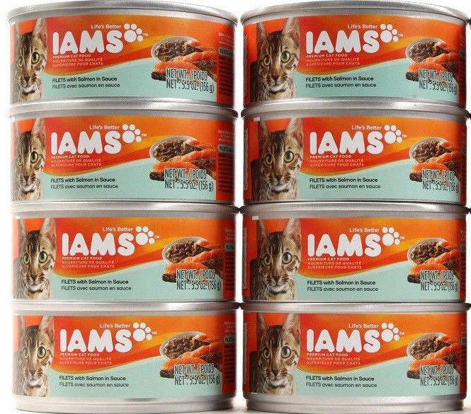 8 Iams Premium Cat Food Filets With Salmon In Sauce 5.5 Oz