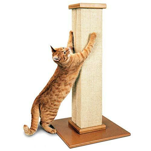 SmartCat Scratch Post Scratching Tall Sisal Scratcher Kitten Kitty Toy Standing