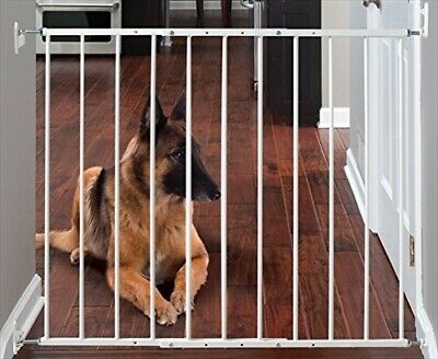 Command Pet Wall Mounted Gate, 80cm H/60cm - 110cm , White. Delivery is Free