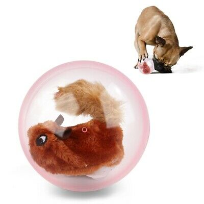 US Cat Dog Toys Plush Automatic Electric Jumping Squirrel Ball Interactive Toys