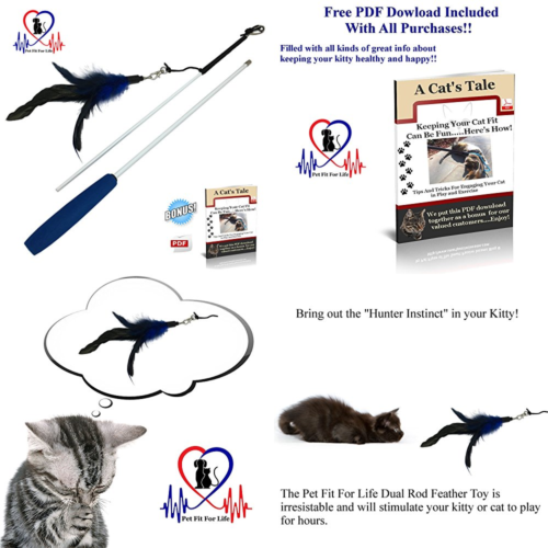 Feather Teaser & Exerciser For Cat Kitten Toy Interactive Wand BLUE Pet Supplies