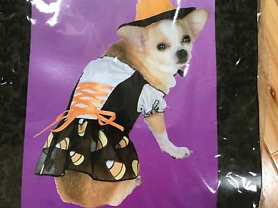 NWT CANDYCORN WITCH 2 Pc  Costume Sz Small DOG HALLOWEEN