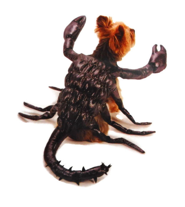 Pet Dog Costume Scorpion Small Zack and Zoey