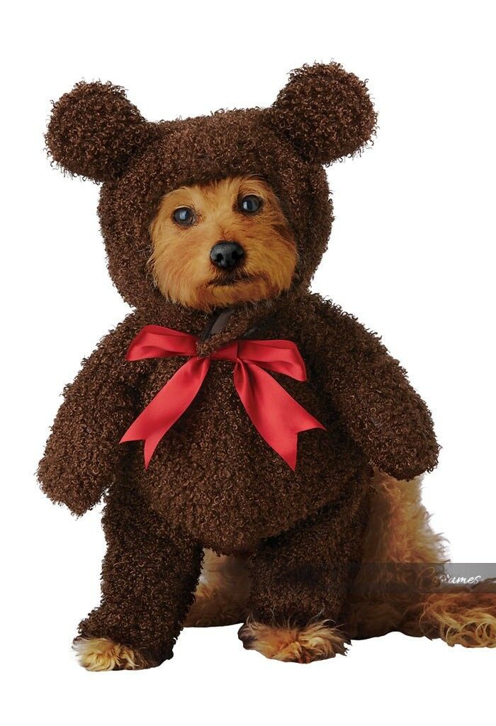 California Costumes Teddy Bear Plush Pets Dogs Animal Halloween Costume PET20162