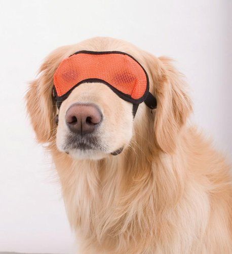 Mesh Dog Eyewear - Breathable, Adjustable, Lightweight Mesh Pet Eyewear