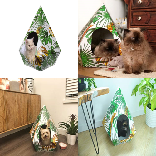 Cat Bed Cats House Cardboard Cave W Pyramid Shape & Glossy Vibrant Print Very St
