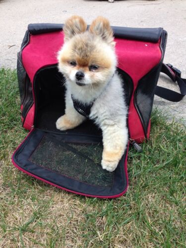 Sling Puppy Carrier Bag Suede Comfort Travel Pouch