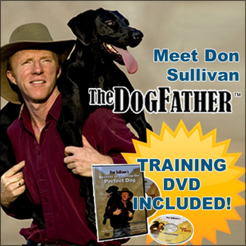 Don Sullivan Perfect Dog Training Command Collar Pet Puppy Obedience Bark Collar
