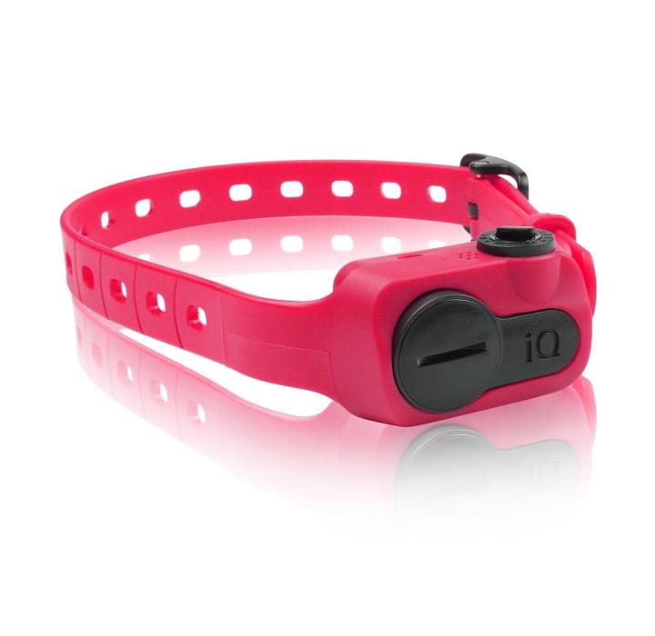 Dogtra iQ No Bark Collar Pink