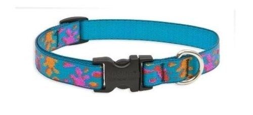 Lupine Lifetime Guarantee Dog Collar or Leash - 3/4
