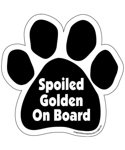 Imagine This Paw Car Magnet, Spoiled Boxer on Board, 5-1/2-Inch by 5-1/2-Inch