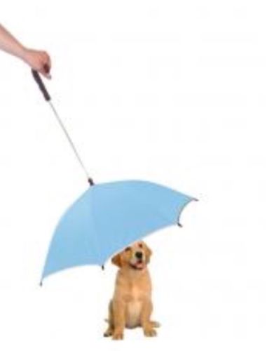 Pour-protection Umbrella With Reflective Lining And Leash Holder - Light Blue