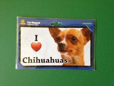 Chihuahuas Car Magnet