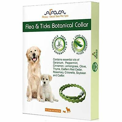 Arava Flea & Tick Prevention Collar - For Dogs Puppies Length-25&39&39 11 Pet