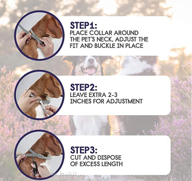 DYEOF Flea Tick Collar for Dogs - 8 Months Protection - Hypoallergenic, Adjustab