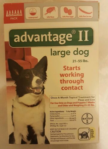 Advantage Bayer 6 month dose 21-55 ound large Dog Flea lice medication New