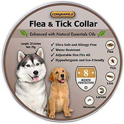Dog Flea And Tick Collar - Adjustable 