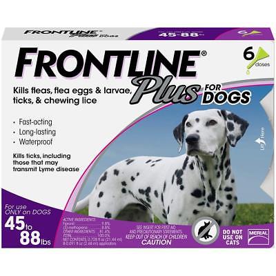 Frontline Plus for Large Dogs 45 to 88 pounds Flea and Tick Treatment, 6 months